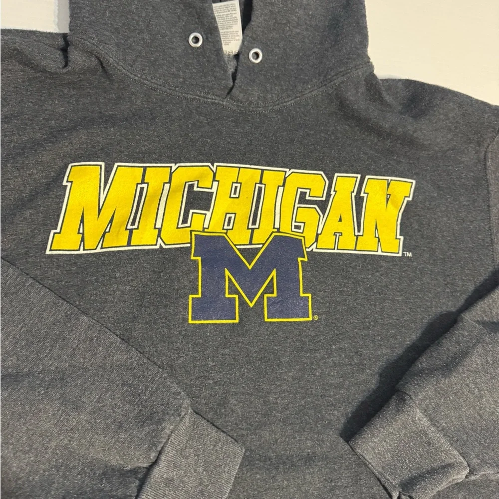 University of Michigan Wolverines Collegiate Logo Grey Hoodie Sweatshirt Large